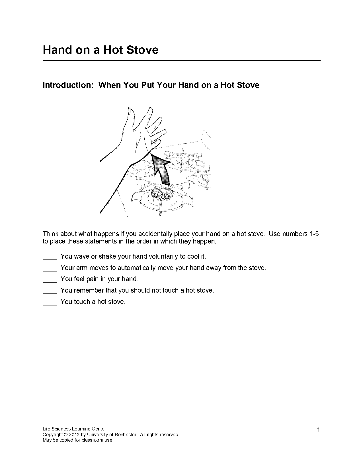 nervous system pathways worksheet