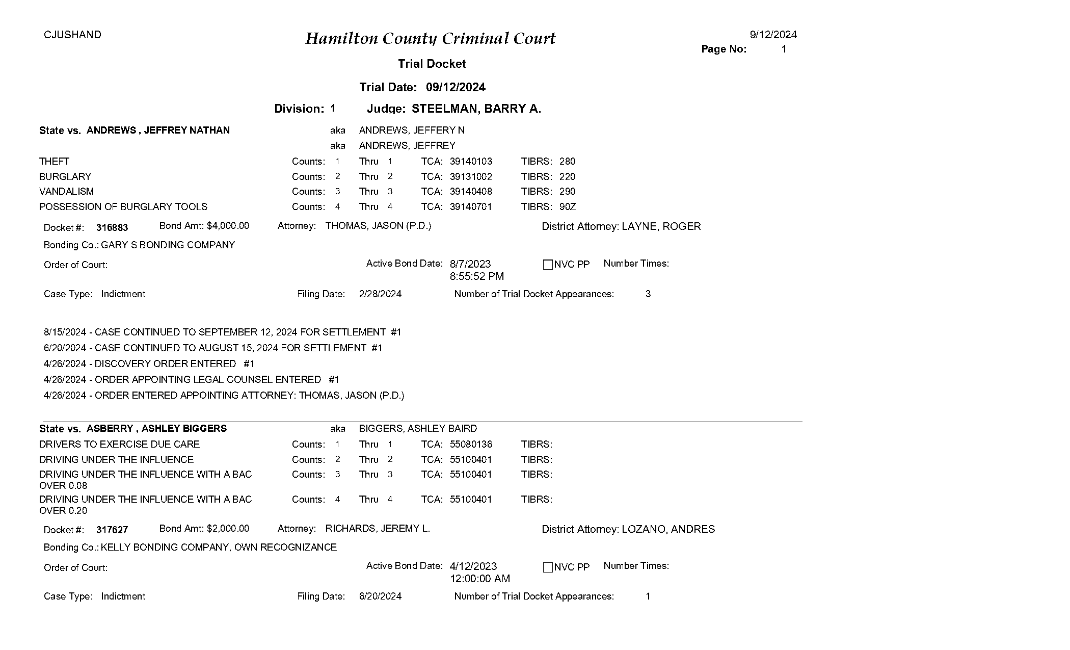 hamilton county tennessee criminal court records