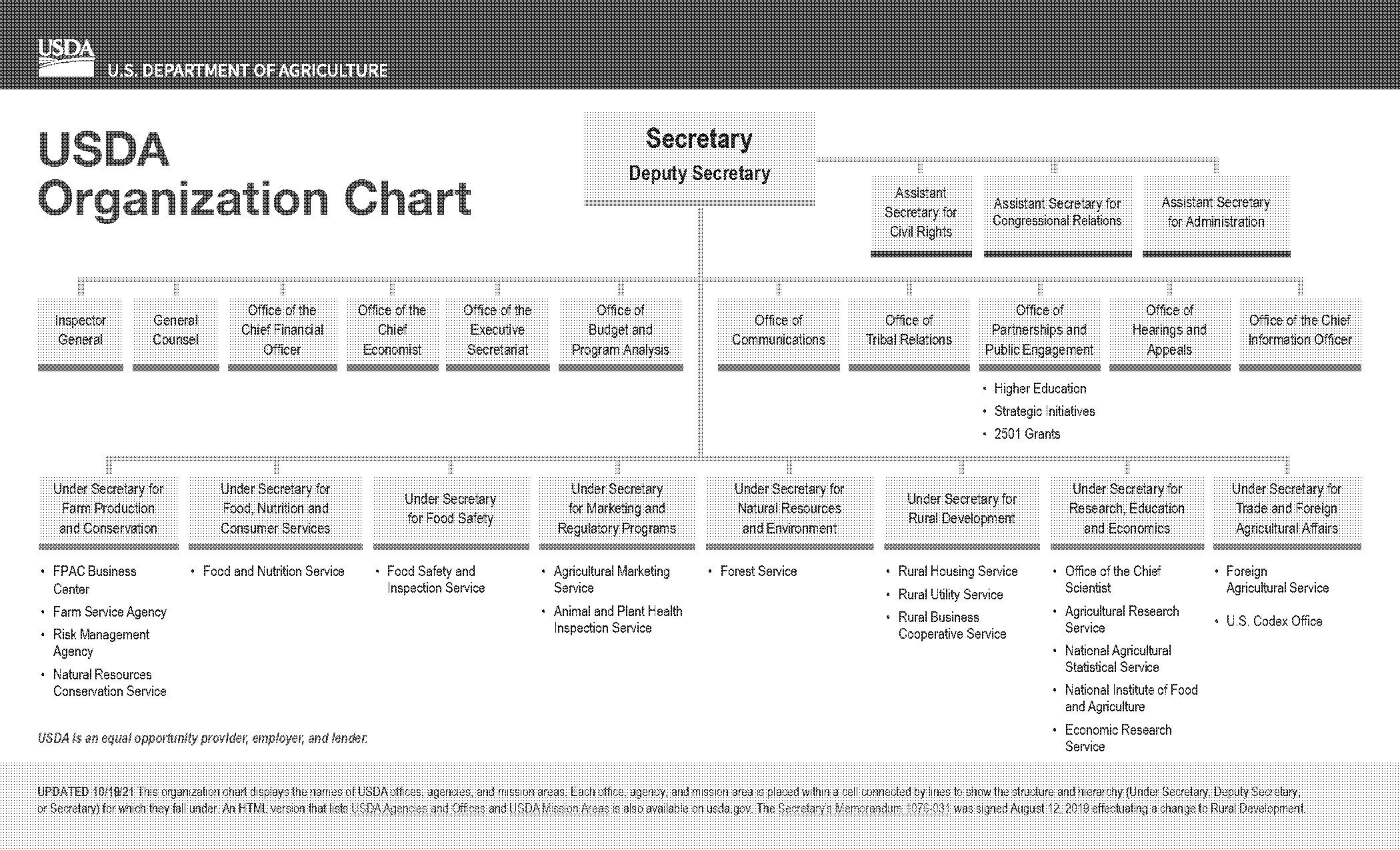 organizational chart template free