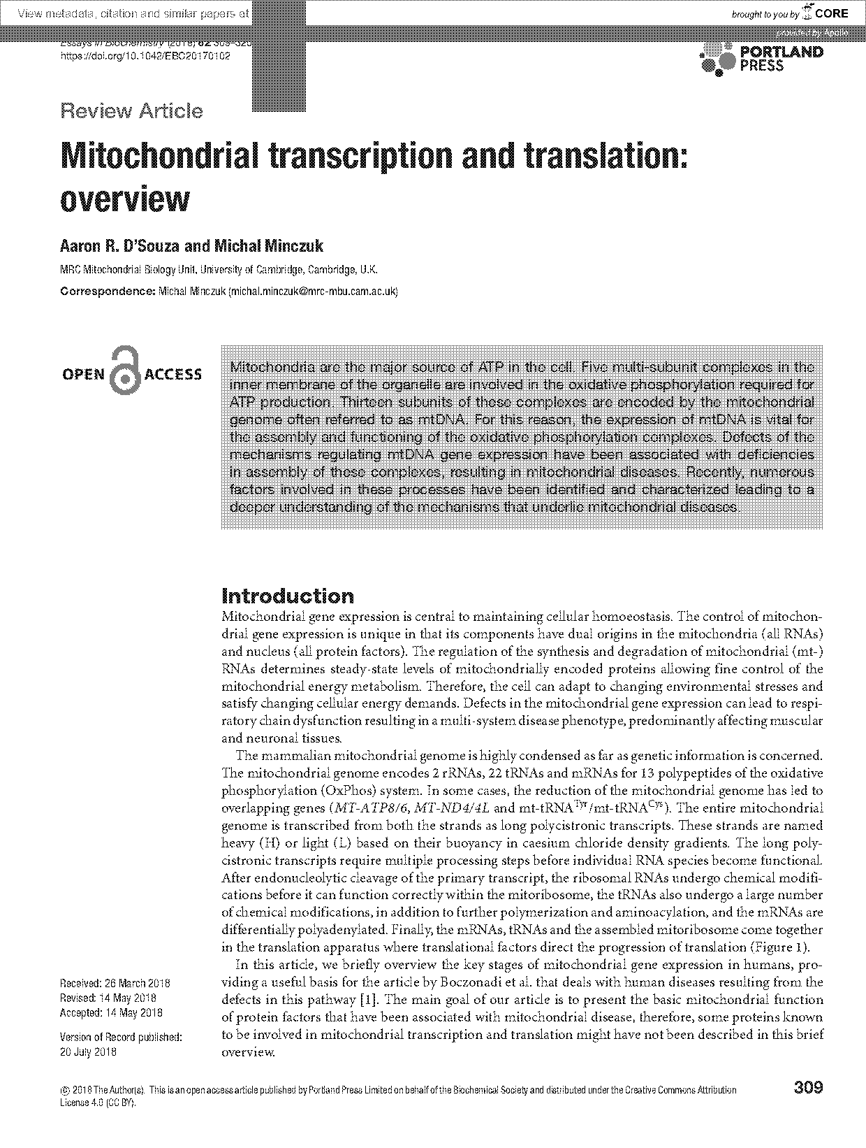 description of translation and transcription