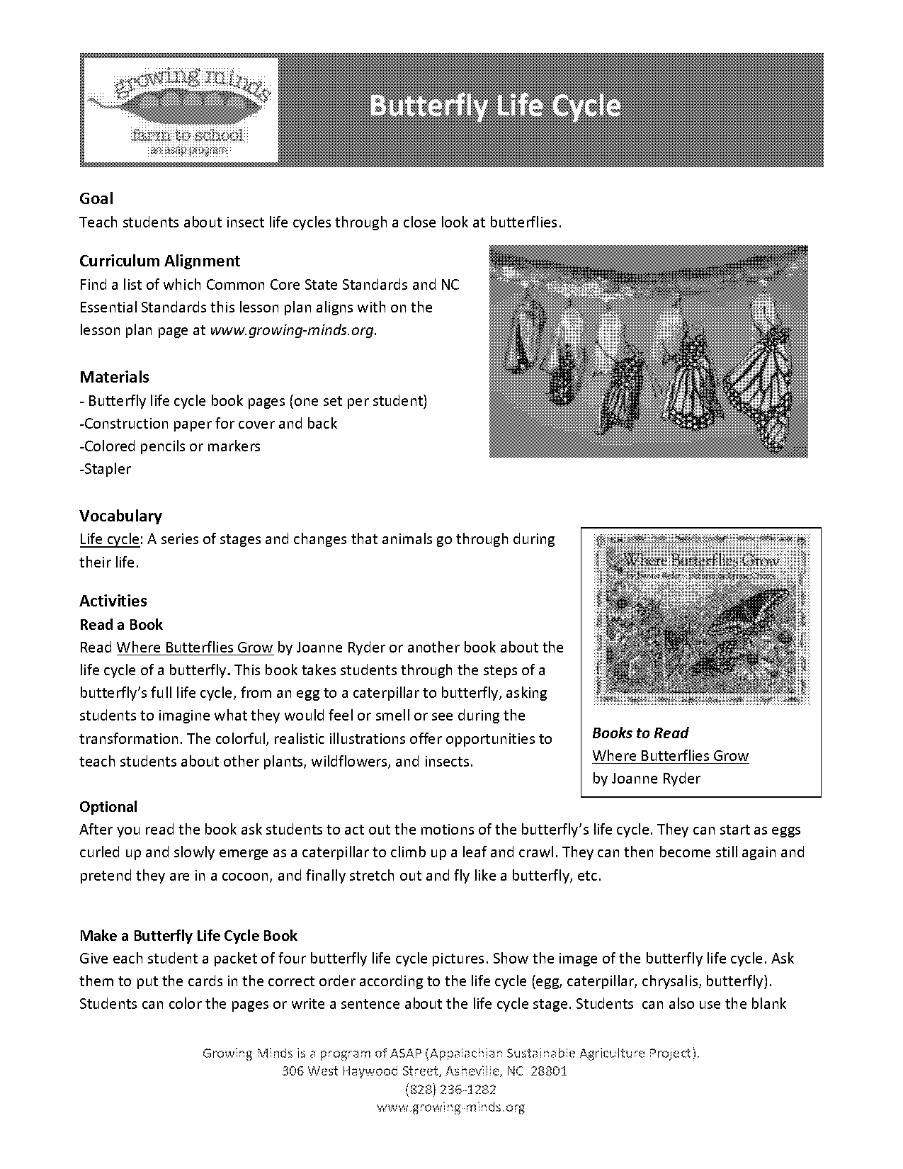 butterfly life cycle lesson plan