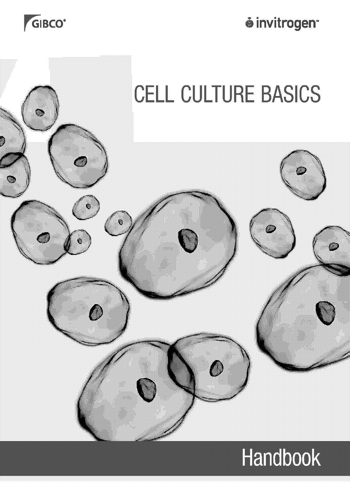 cell alive cell cycle worksheet answer key