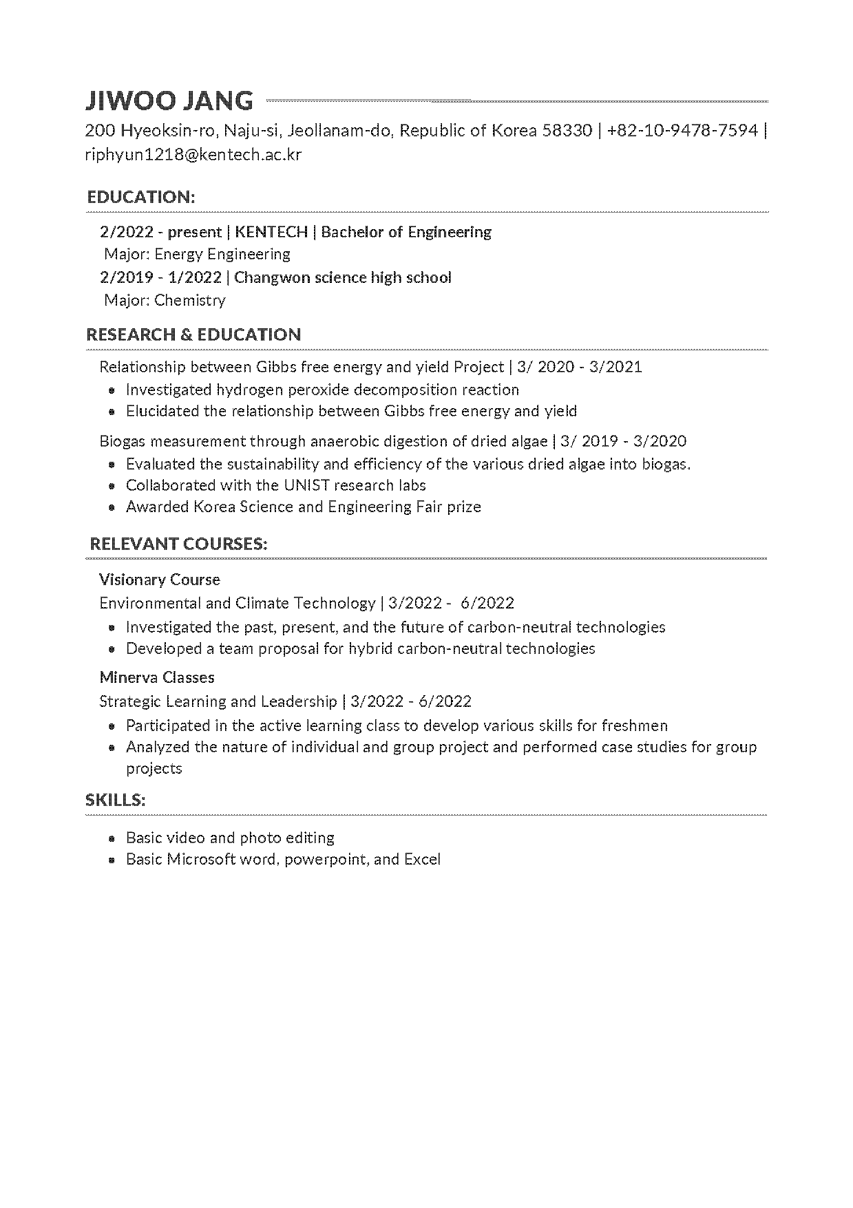 professional web developer resume